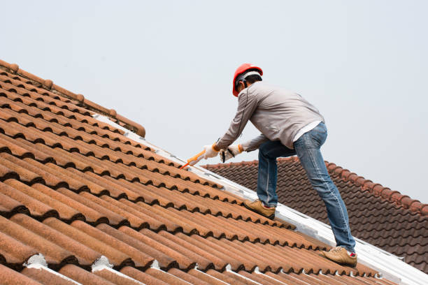 Best Gutter Installation and Repair  in Ortonville, MN
